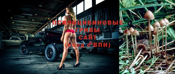 каннабис Богданович