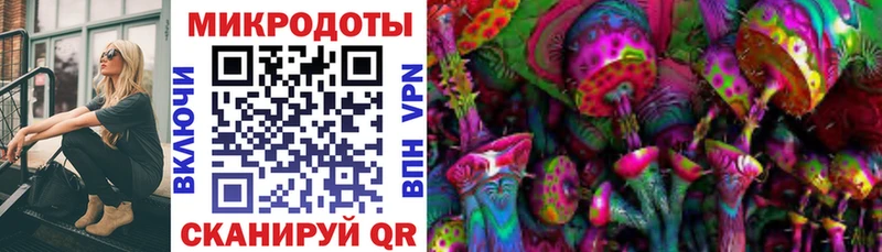 наркотики  Невельск  Псилоцибиновые грибы прущие грибы 